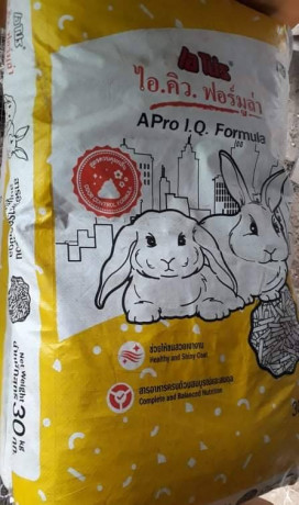 a-pro-iq-formula-rabbit-a-pro-iq-big-0
